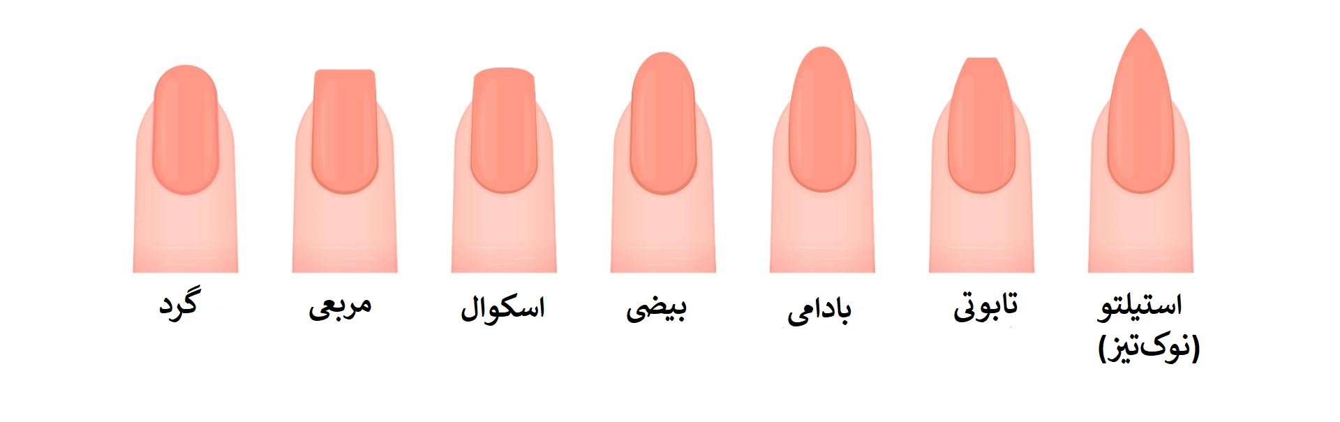 شکل مناسب ناخن