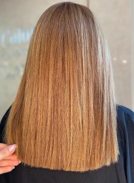 گالری مو